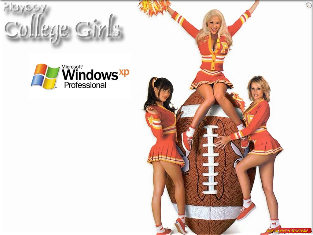 windows, xp, 